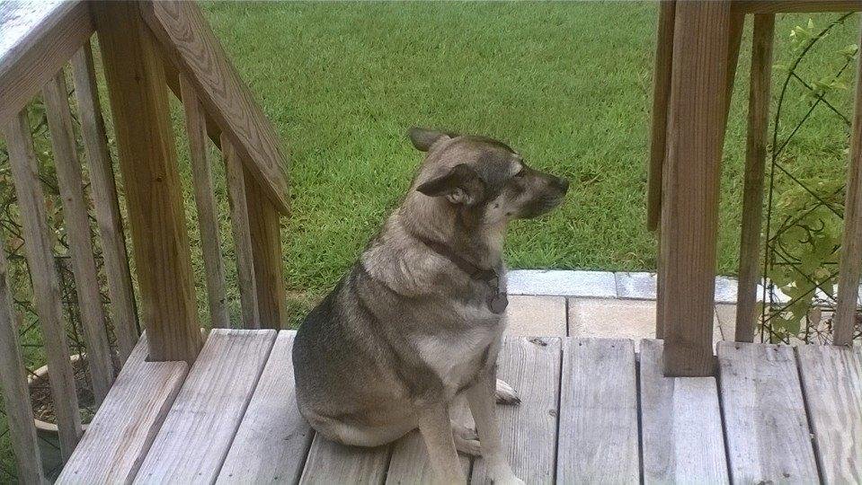 I think my mommy is coming home