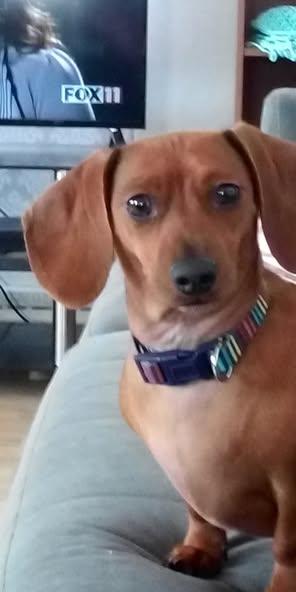 Bert Hollander's album, Timeline photos