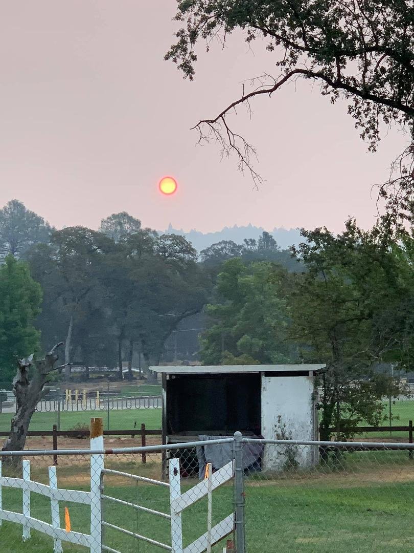 Picture of sun this morning