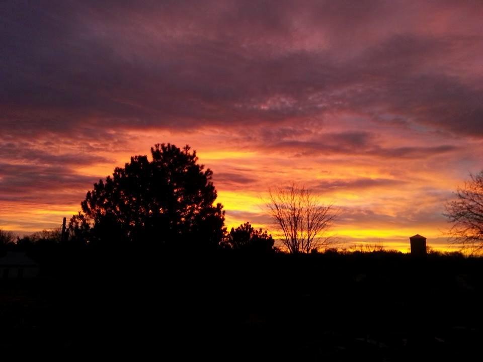Good Omen ..Orange Orange..Orange...... go Broncos!!!