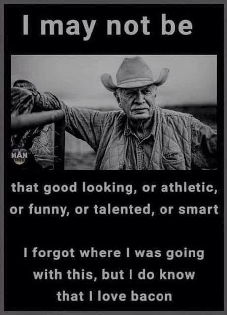Randy Gies' album, Mobile Uploads