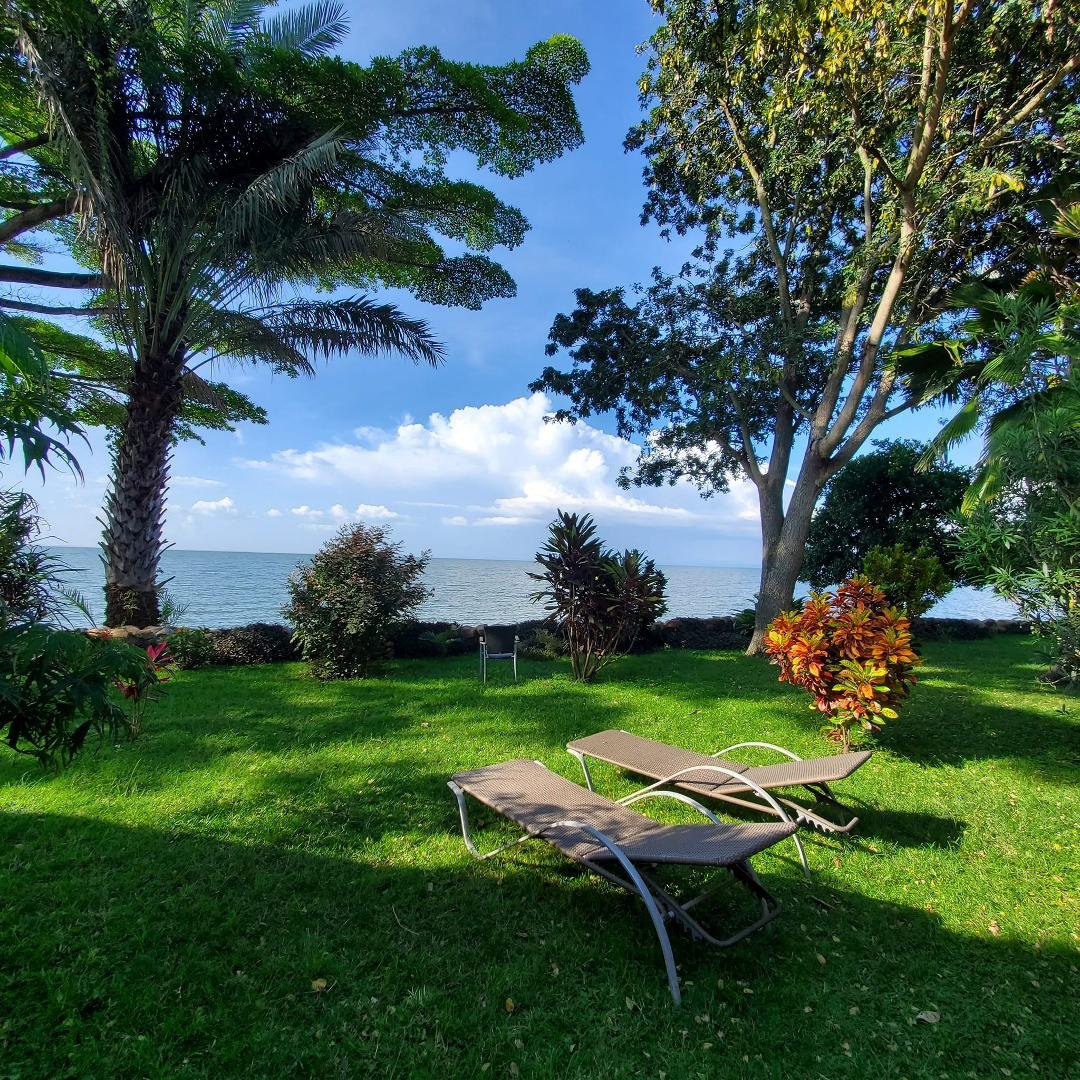 This is the view from my room here at Lake Victoria in Africa