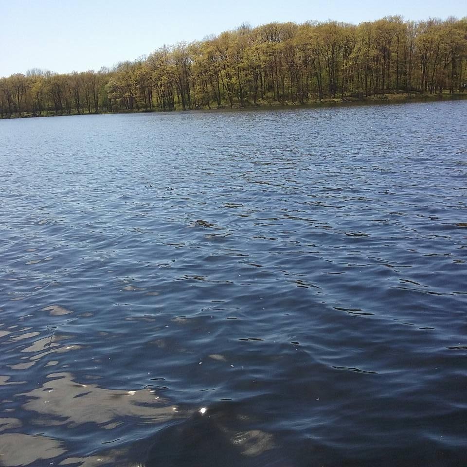 Daniel Carlson's album, Mobile Uploads