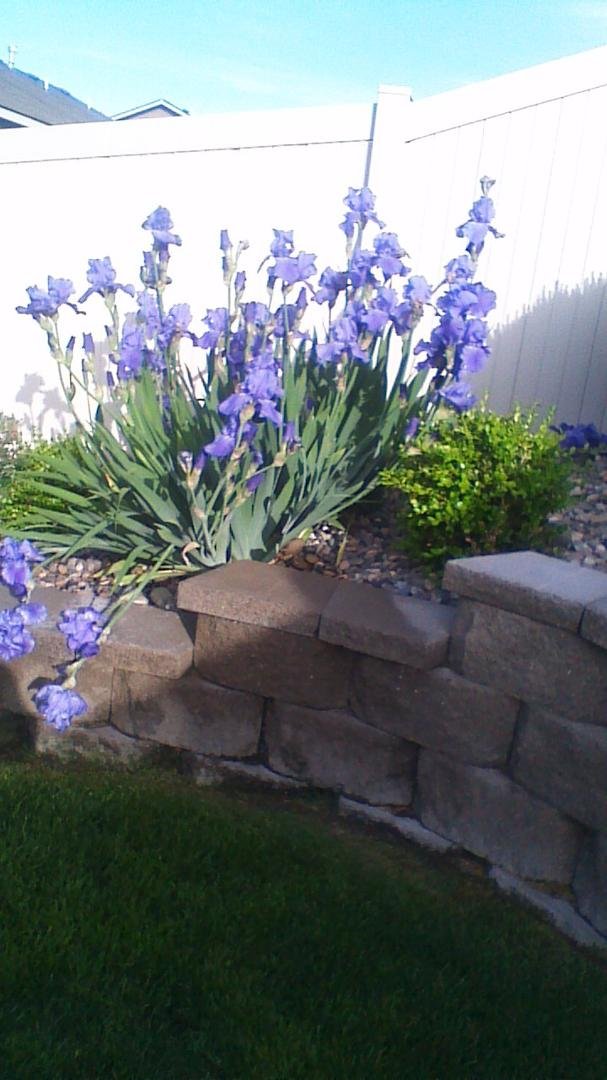 Day 6: I’ve been nominated by Sherri Appel Heeney for the “Life is Good” Challenge. 10 days, 10 photos, 10 nominations. Each day I will share a photo that is meaningful to me (no explanation).