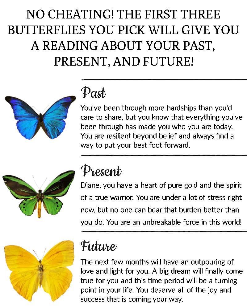 Diane Strain's album, Timeline photos