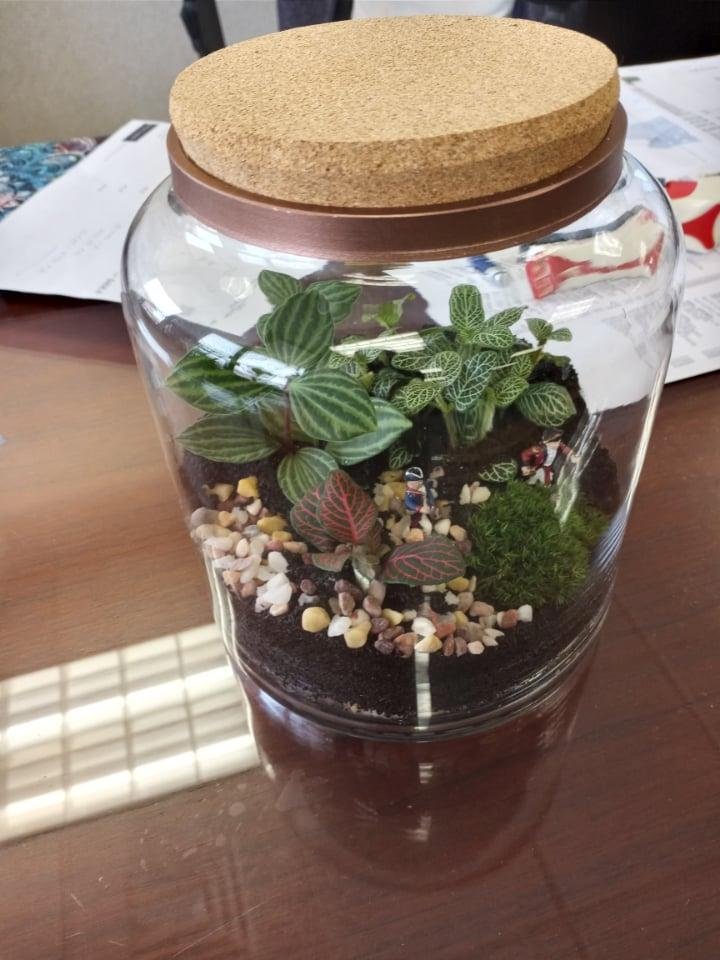 This is my lovely addition to my office.