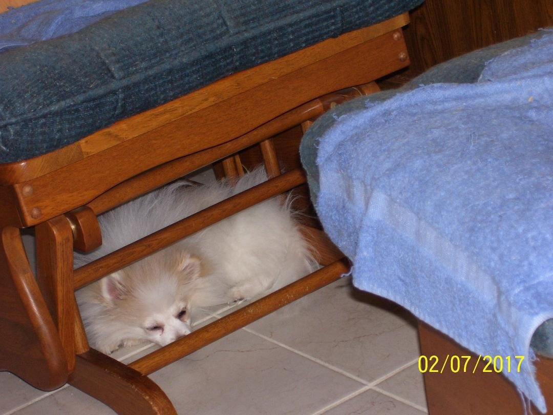 Cubbi under glider rocker