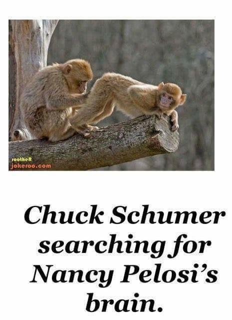 Saw this somewhere at the very bottom of a story about Ben Carson finding some serious accounting irregularities to the tune of $516 billion dollars...but I did get a chuckle from the Schumer, Pelosi joke.