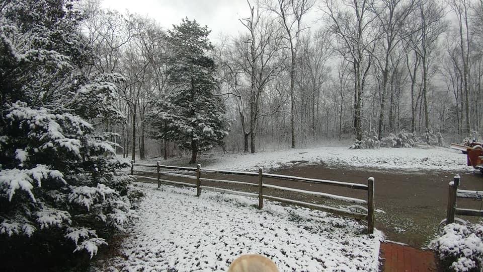 David Huff's album, Timeline Photos