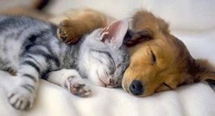 Is there anything cuter?