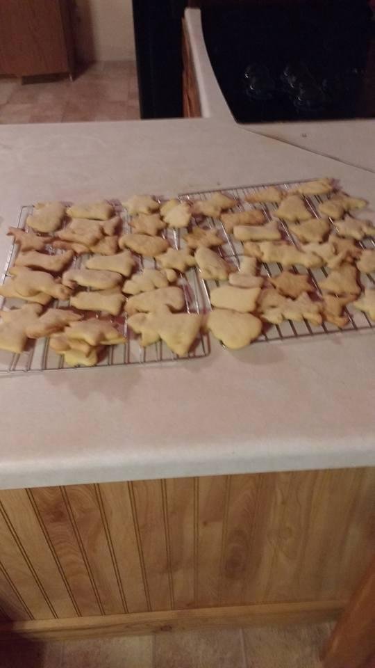This is what I made today. With some help from Mark tomorrow we will get them frosted and decorated.