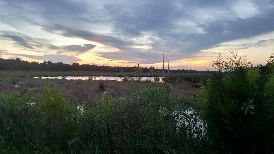 On the Loop in Ormond Beach