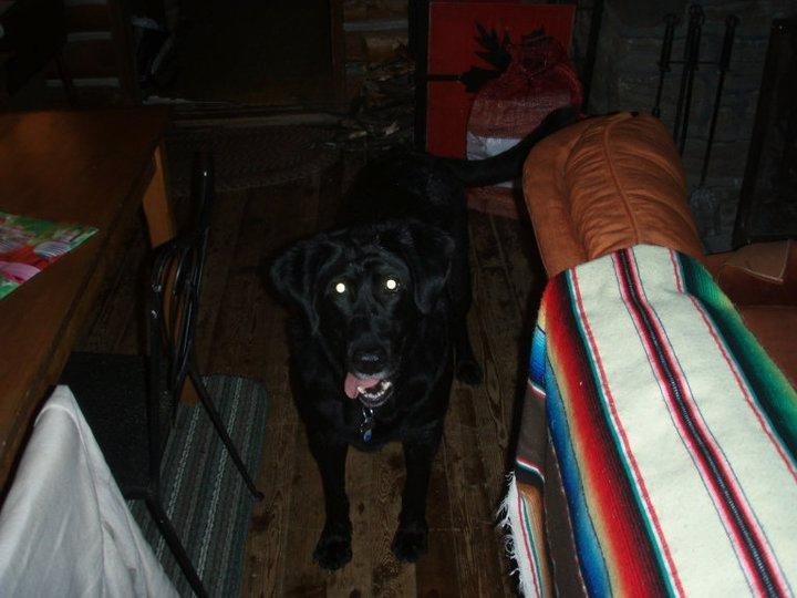 William Rodd's album, November 18, 2010