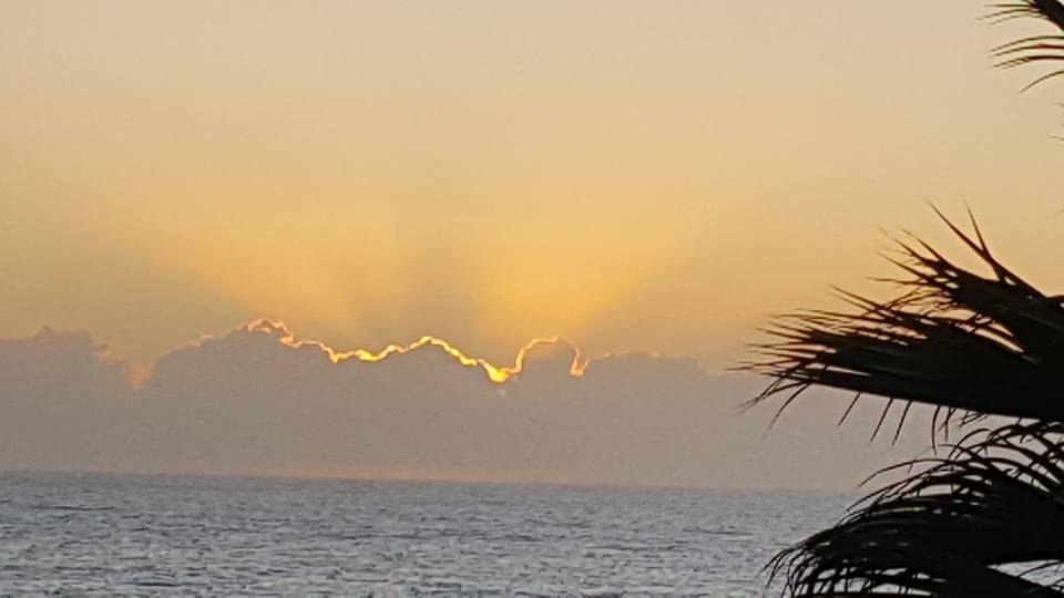 Randall Zabel's album, Mobile Uploads