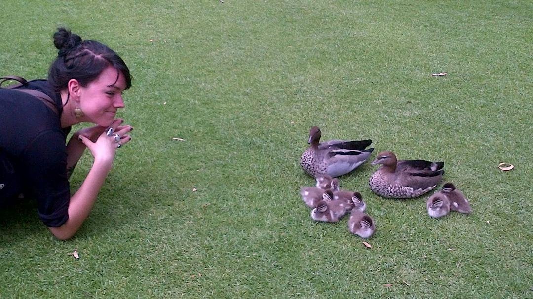 Natasha connecting with nature at Kings park.