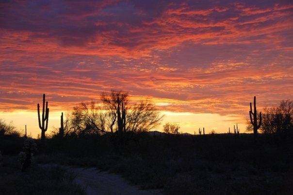 Watched the sun rise over the desert this morning, just a couple miles from home.  My tripod and I just took in the changing colors in the early morning!
