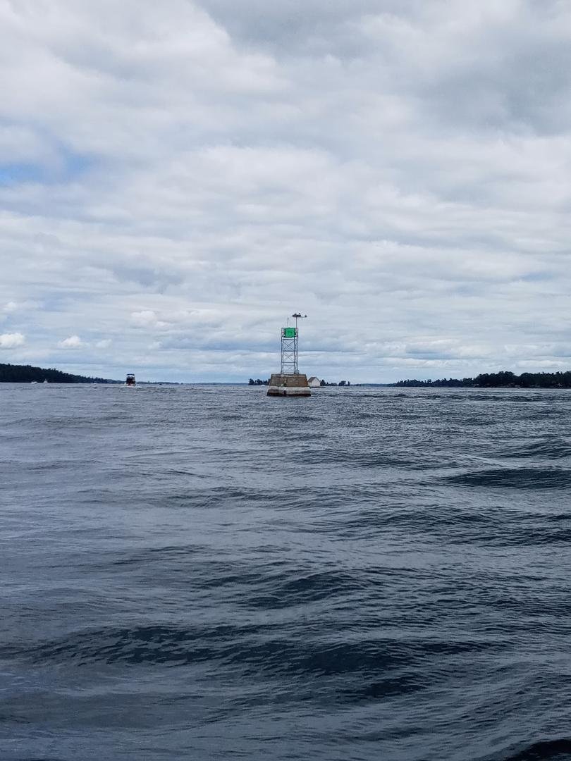 An eagle and its eaglets nesting on a buoy