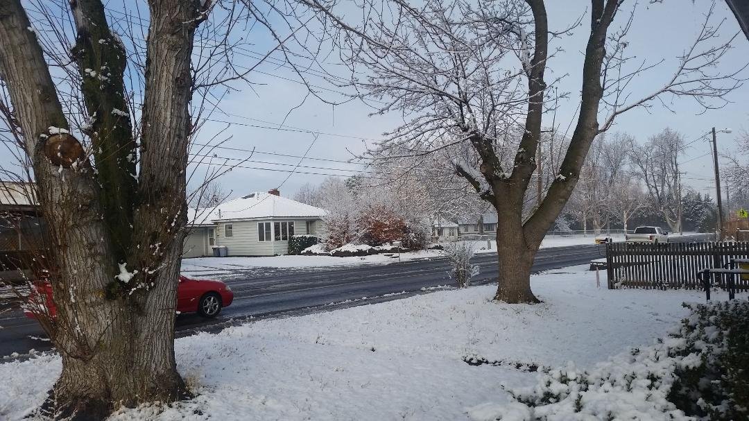 our front yard when we got up that morning..it was beautiful and smelled so good..didn't get time to make a snowman before it melted.