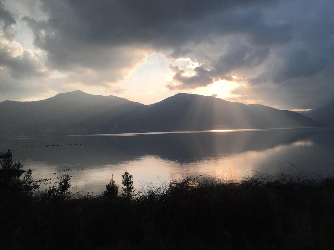 Connie Ross' album, Mobile Uploads