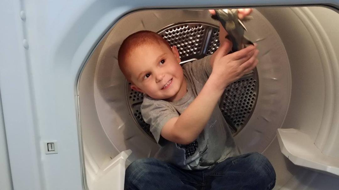 Playing inside the dryer. LOL! Gotta love 'em.