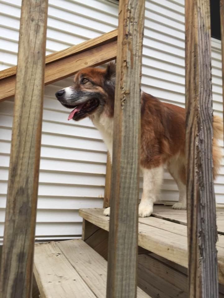Max waiting for the rain