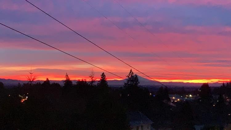 Have a glorious morning!