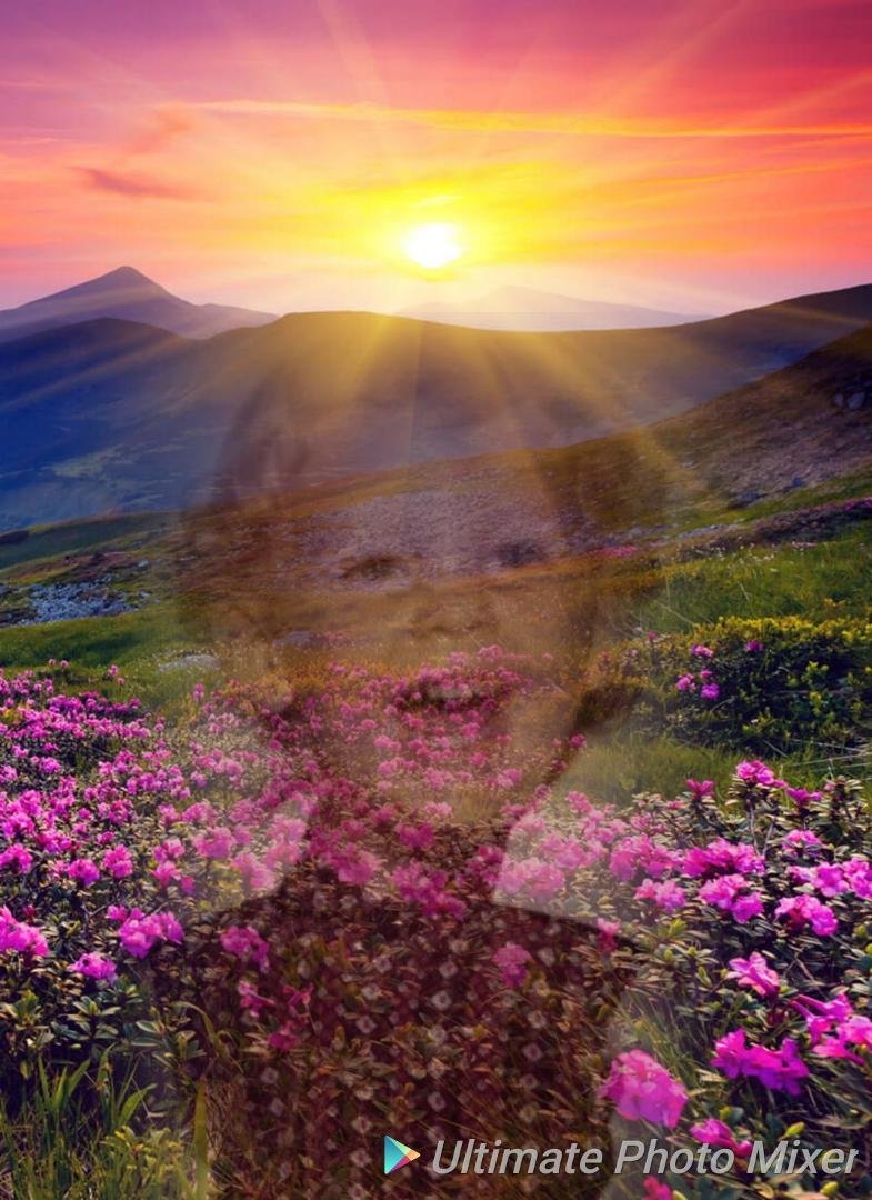 Barbara Shaw's album, Mobile uploads
