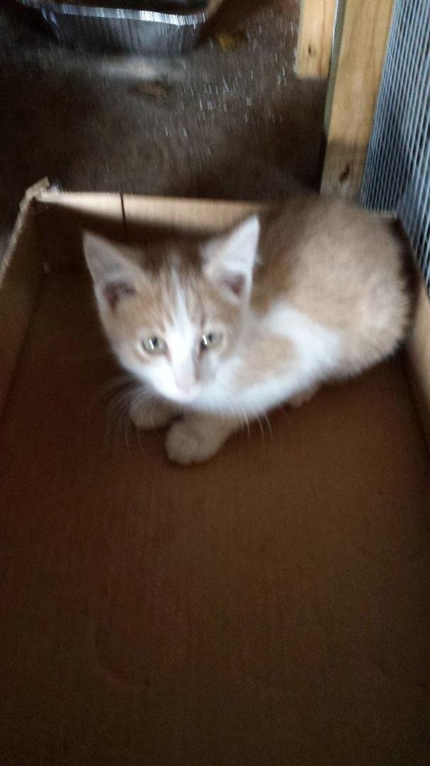Sandy Stewart's album, Timeline Photos