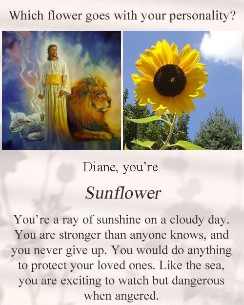 Diane Strain's album, Timeline photos