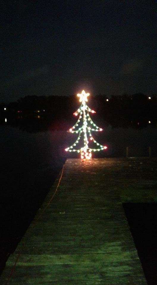 Our tree on the dock.