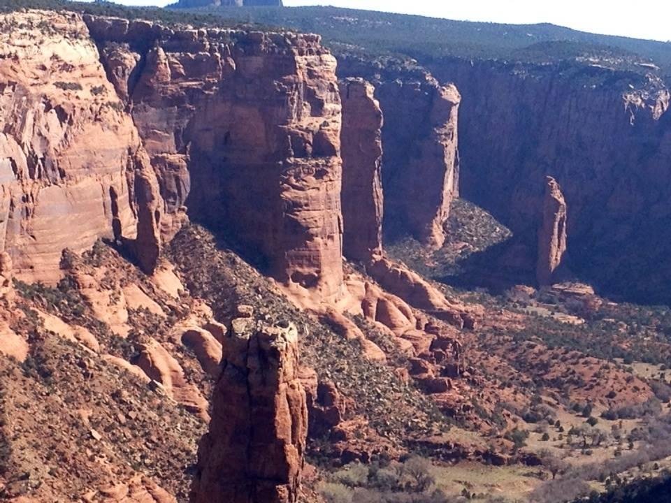 Sandi Carl's album, iOS Photos