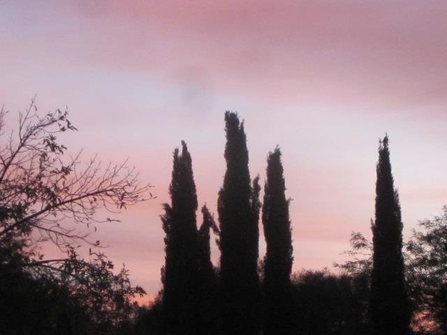 William Lightfoot's album, Good Morning from Tucson