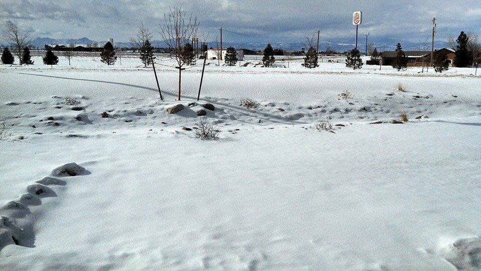 Liz Roelofsz,
Here is some snow Raven needs to build a few snowmen. This is looking out my patio door and more is coming tonight and Sunday.