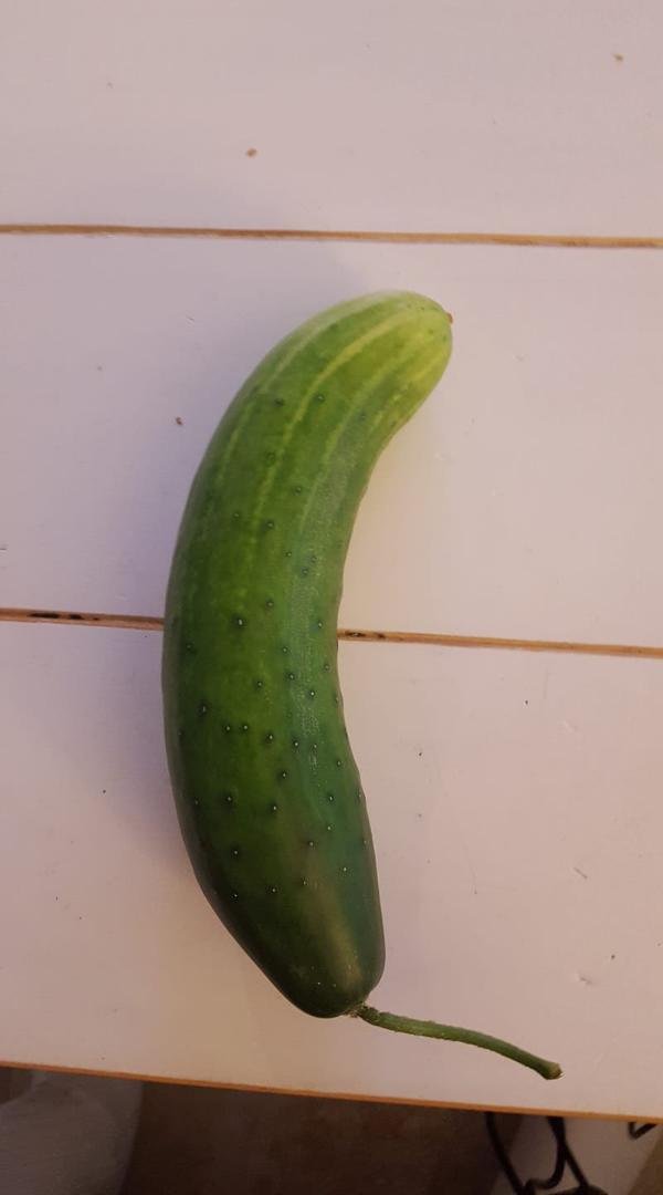 We call this one a "Clinton" Huj!