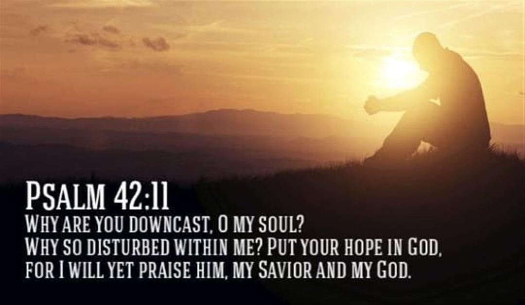 Donna Westmoreland's album, Timeline photos