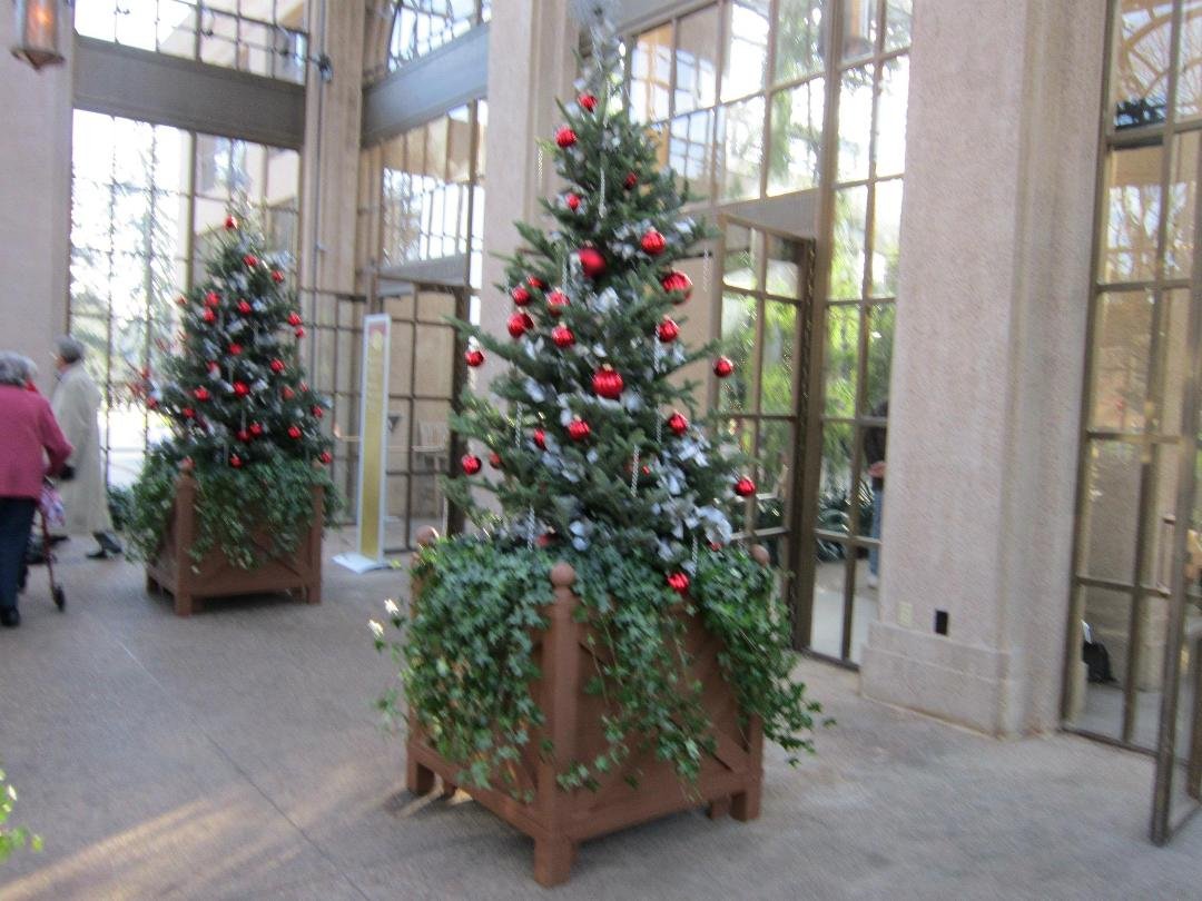 Kathleen Cunningham's album, December 17, 2011