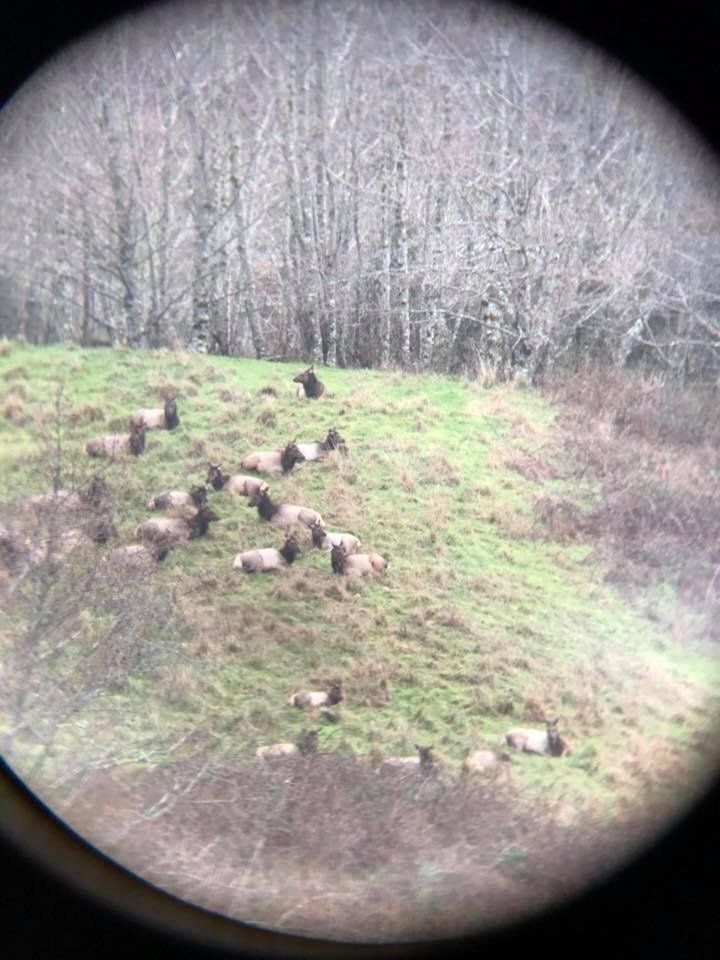 A few of our neighbors!