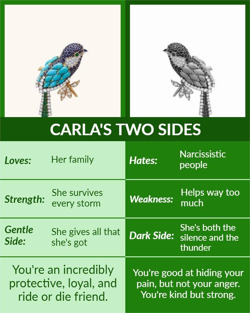 We All Have TWO SIDES - Touch The Photo To Reveal Yours!
