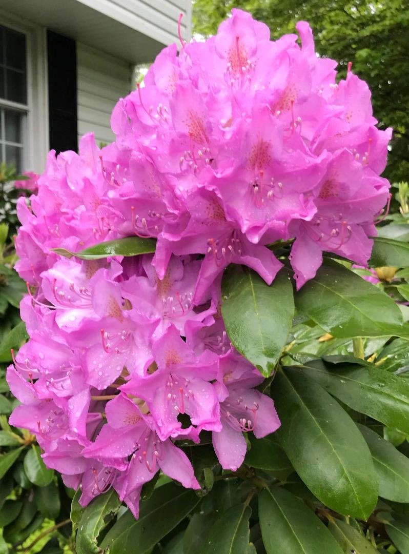 Edward Bailey's album, Timeline Photos