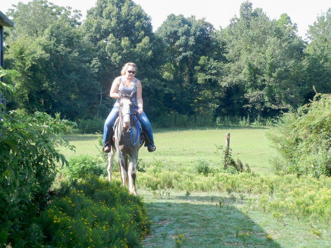 Lacey riding Sparkle
