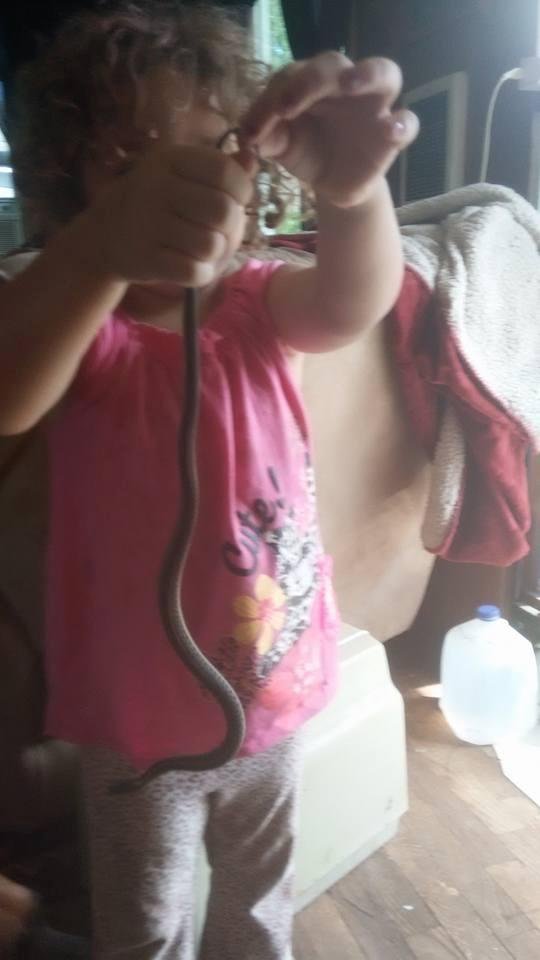Kylee found a snake