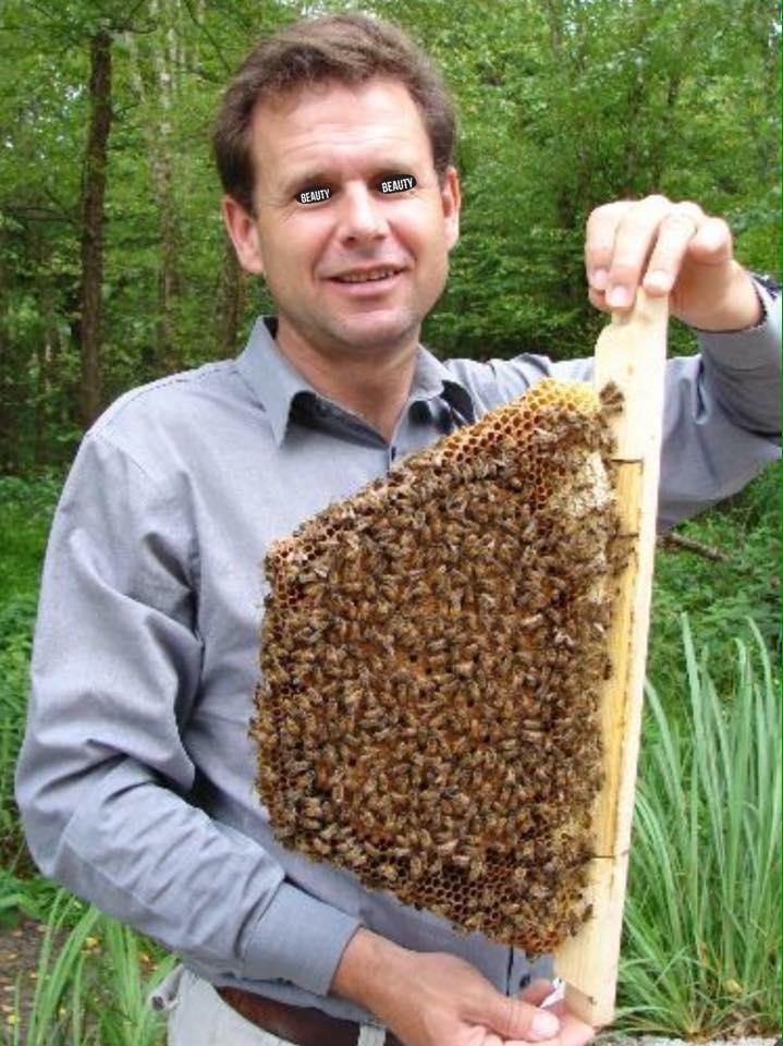 James Martin's album, Mobile Uploads