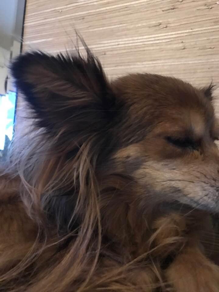 One of my babies
