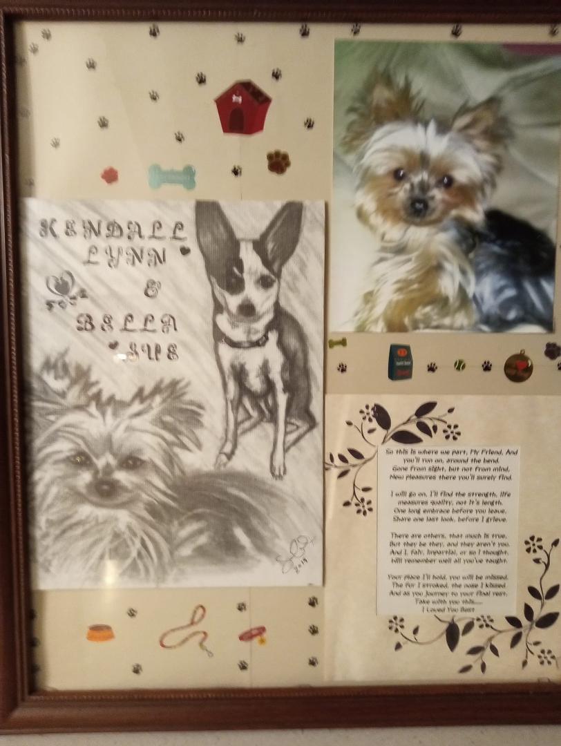 These 2 were and always will be part of my heart. Lost Kendall Christmas Eve 2018 and lost Bella the same day mom died. She said she was going to take her with her damned if she didn't. She had her in her arms in her casket