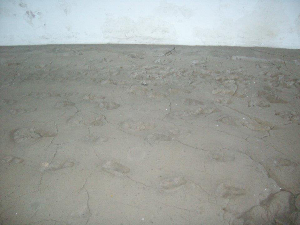 Ruth Herrmann's album, Nicaragua photos