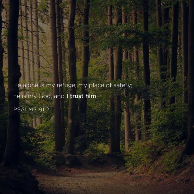 Shirley Wood's album, Timeline Photos