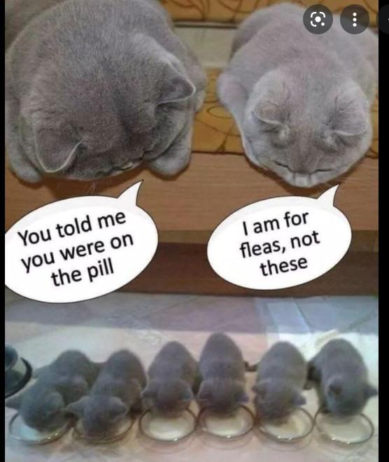 William Planck's album, Timeline photos
