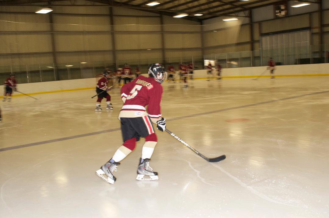 Beverly Riemann's album, HOCKEY GAME - OAKTON/GMHS GOLD