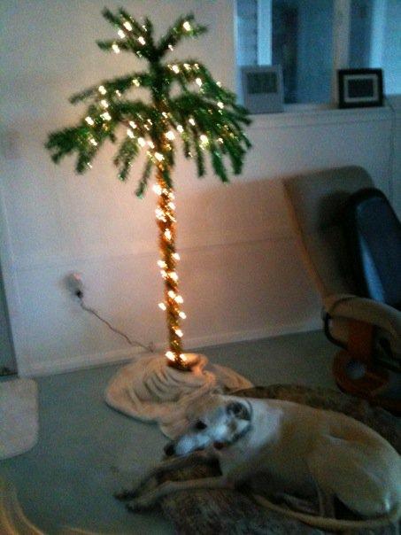 A little Christmas palm tree helps us celebrate the 2009 holiday in our 540 sq. ft. ohana (family/guest) unit downstairs. Next year we'll be upstairs in the real house.