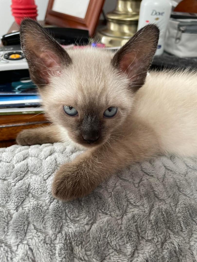 You woke me up..